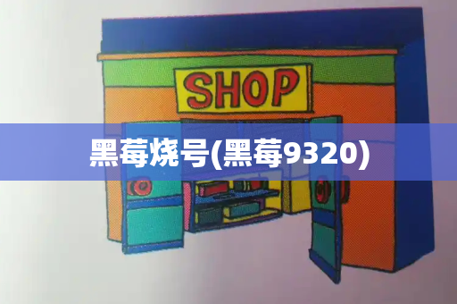 黑莓烧号(黑莓9320)-第1张图片-星选测评