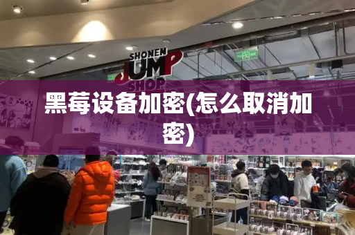 黑莓设备加密(怎么取消加密)