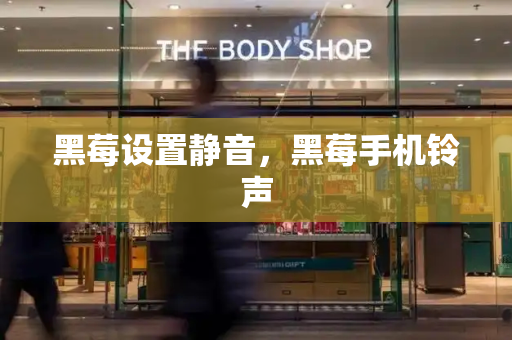 黑莓设置静音，黑莓手机铃声-第1张图片-星选测评