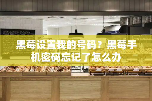 黑莓设置我的号码？黑莓手机密码忘记了怎么办