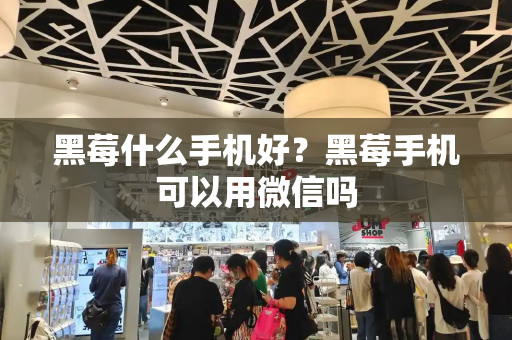 黑莓什么手机好？黑莓手机可以用微信吗-第1张图片-星选测评