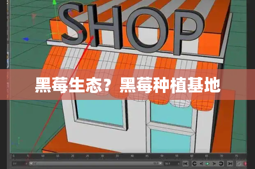 黑莓生态？黑莓种植基地