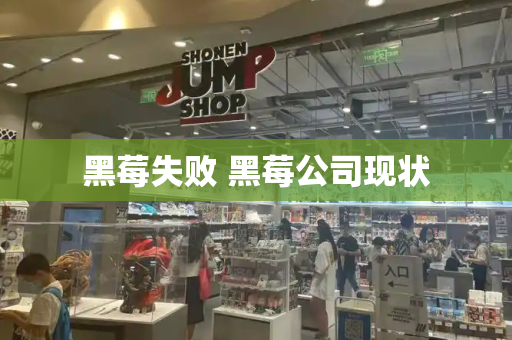 黑莓失败 黑莓公司现状-第1张图片-星选测评