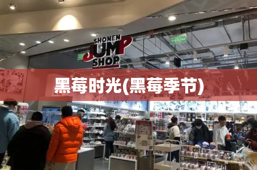 黑莓时光(黑莓季节)