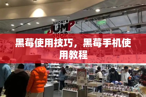 黑莓使用技巧，黑莓手机使用教程