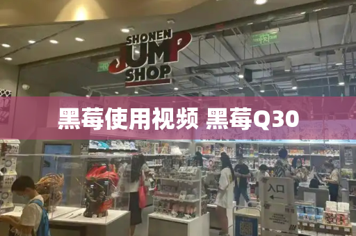 黑莓使用视频 黑莓Q30