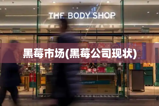 黑莓市场(黑莓公司现状)