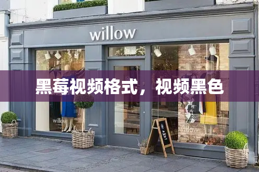 黑莓视频格式，视频黑色