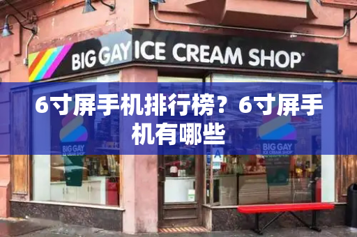 6寸屏手机排行榜？6寸屏手机有哪些-第1张图片-星选测评