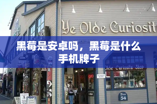 黑莓是安卓吗，黑莓是什么手机牌子-第1张图片-星选测评