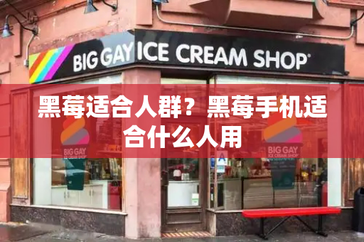黑莓适合人群？黑莓手机适合什么人用