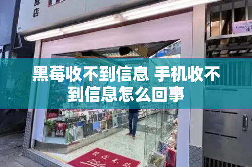 黑莓收不到信息 手机收不到信息怎么回事-第1张图片-星选测评