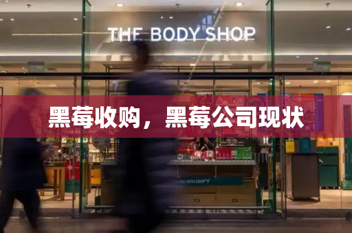 黑莓收购，黑莓公司现状