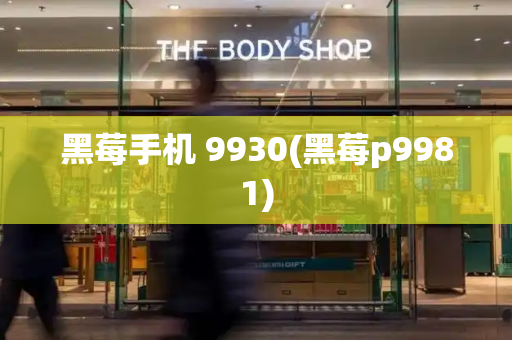 黑莓手机 9930(黑莓p9981)