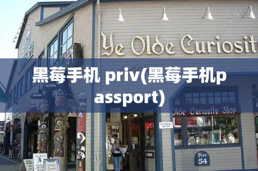 黑莓手机 priv(黑莓手机passport)-第1张图片-星选测评