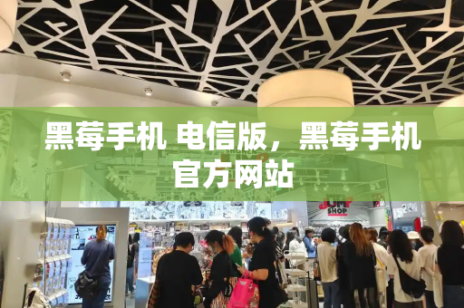 黑莓手机 电信版，黑莓手机官方网站