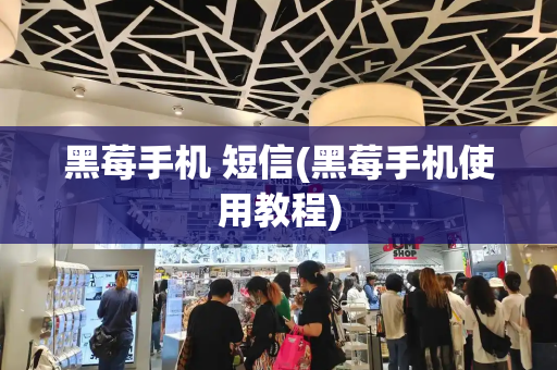 黑莓手机 短信(黑莓手机使用教程)