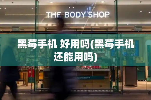 黑莓手机 好用吗(黑莓手机还能用吗)-第1张图片-星选测评