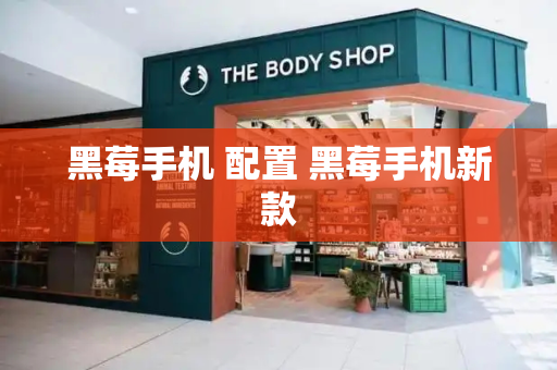 黑莓手机 配置 黑莓手机新款-第1张图片-星选测评