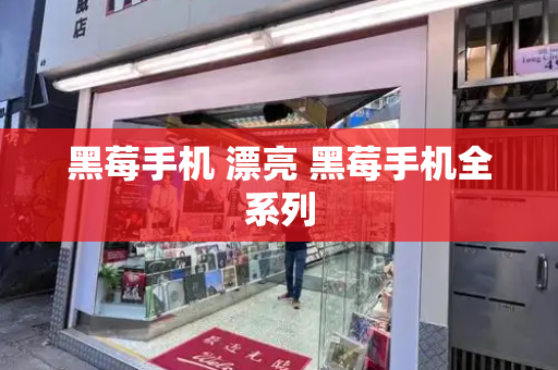 黑莓手机 漂亮 黑莓手机全系列-第1张图片-星选测评