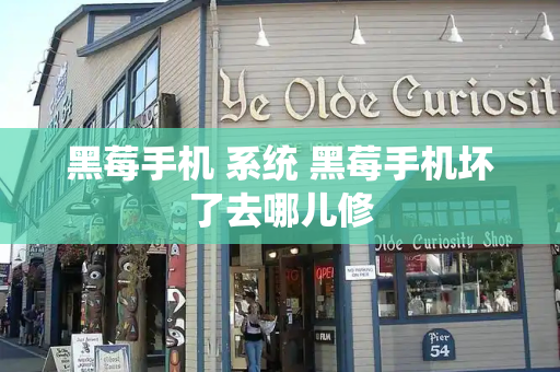 黑莓手机 系统 黑莓手机坏了去哪儿修-第1张图片-星选测评