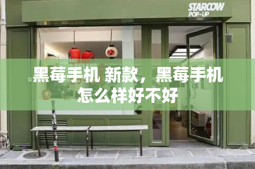 黑莓手机 新款，黑莓手机怎么样好不好