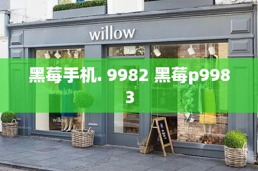 黑莓手机. 9982 黑莓p9983-第1张图片-星选测评