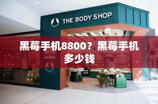 黑莓手机8800？黑莓手机多少钱-第1张图片-星选测评