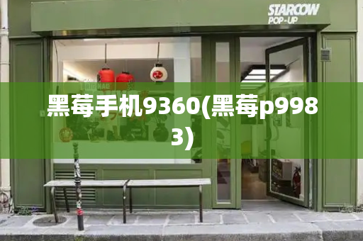 黑莓手机9360(黑莓p9983)-第1张图片-星选测评
