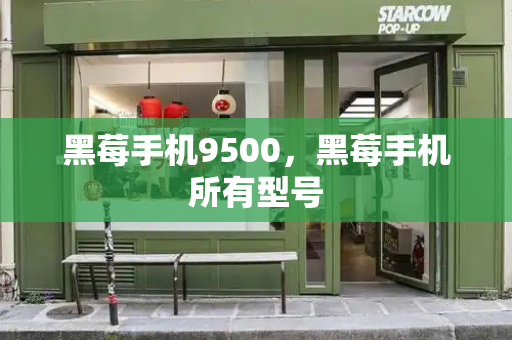黑莓手机9500，黑莓手机所有型号-第1张图片-星选测评