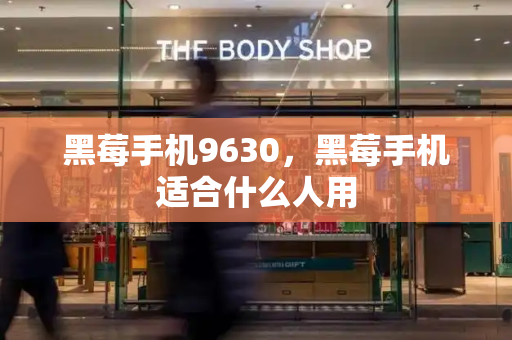 黑莓手机9630，黑莓手机适合什么人用