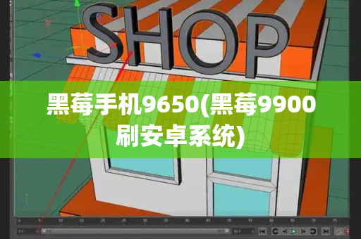 黑莓手机9650(黑莓9900刷安卓系统)-第1张图片-星选测评