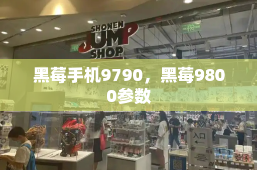 黑莓手机9790，黑莓9800参数