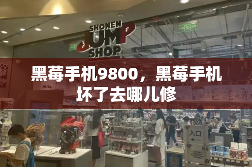黑莓手机9800，黑莓手机坏了去哪儿修