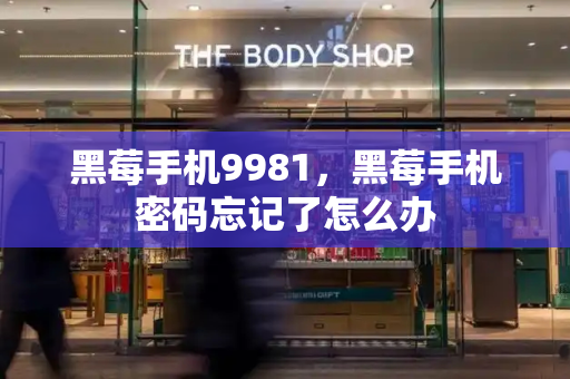 黑莓手机9981，黑莓手机密码忘记了怎么办
