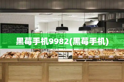 黑莓手机9982(黑莓手机)