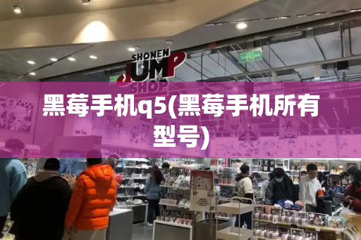 黑莓手机q5(黑莓手机所有型号)