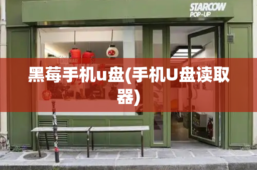 黑莓手机u盘(手机U盘读取器)-第1张图片-星选测评