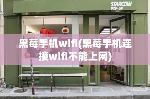 黑莓手机wifi(黑莓手机连接wifi不能上网)-第1张图片-星选测评