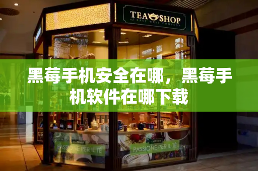 黑莓手机安全在哪，黑莓手机软件在哪下载