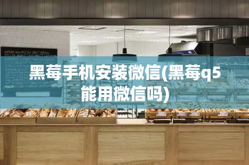 黑莓手机安装微信(黑莓q5能用微信吗)-第1张图片-星选测评