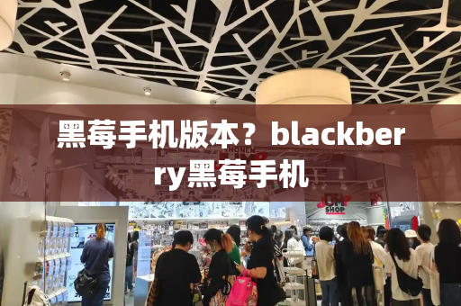 黑莓手机版本？blackberry黑莓手机