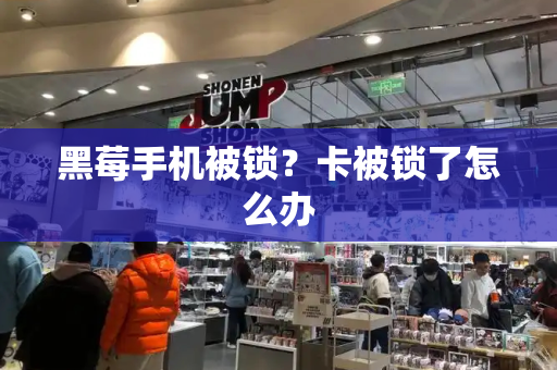黑莓手机被锁？卡被锁了怎么办-第1张图片-星选测评