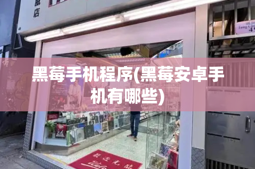 黑莓手机程序(黑莓安卓手机有哪些)