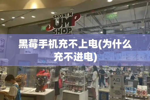 黑莓手机充不上电(为什么充不进电)