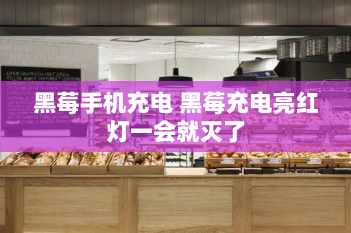 黑莓手机充电 黑莓充电亮红灯一会就灭了