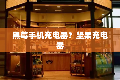 黑莓手机充电器？坚果充电器