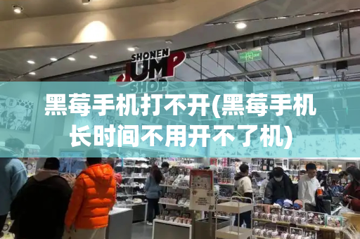 黑莓手机打不开(黑莓手机长时间不用开不了机)