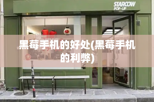 黑莓手机的好处(黑莓手机的利弊)