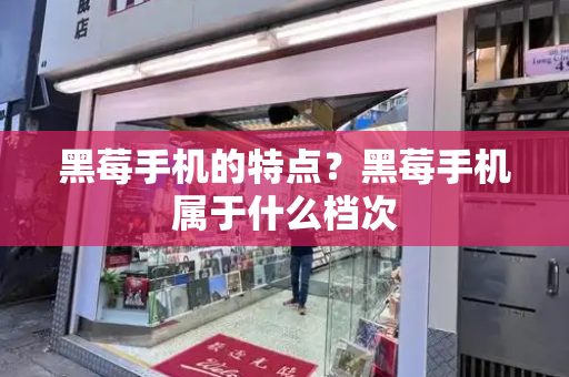 黑莓手机的特点？黑莓手机属于什么档次-第1张图片-星选测评